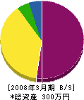 石川組 貸借対照表 2008年3月期