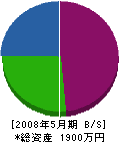 斉藤塗装 貸借対照表 2008年5月期