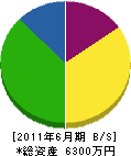 上田建設 貸借対照表 2011年6月期