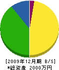 川添建設 貸借対照表 2009年12月期
