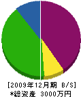 井内組 貸借対照表 2009年12月期