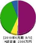 大阪水源開発 貸借対照表 2010年6月期