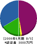 阪東園 貸借対照表 2008年6月期