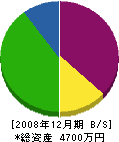 日本サンアンドグリーン 貸借対照表 2008年12月期