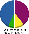 田中緑地 貸借対照表 2011年5月期