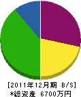 金井農場 貸借対照表 2011年12月期