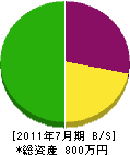 竹内塗装店 貸借対照表 2011年7月期
