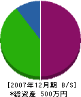 中昭電気工事 貸借対照表 2007年12月期