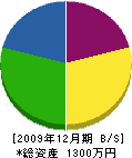 福島電工 貸借対照表 2009年12月期