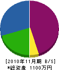 藤井畳 貸借対照表 2010年11月期