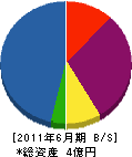 川合工務店 貸借対照表 2011年6月期