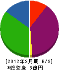 かみむら 貸借対照表 2012年9月期