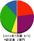 矢野組 貸借対照表 2012年7月期
