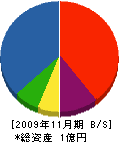岡山県道路管理 貸借対照表 2009年11月期