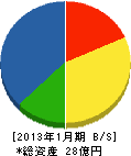 森田電機産業 貸借対照表 2013年1月期