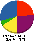 大塚材木店 貸借対照表 2011年7月期