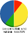 田＊工務店 貸借対照表 2012年12月期