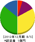 勝賀瀬建設 貸借対照表 2012年12月期