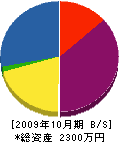 桜井電気工業所 貸借対照表 2009年10月期