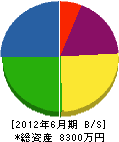渋谷重機 貸借対照表 2012年6月期