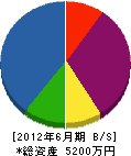 石川電気 貸借対照表 2012年6月期