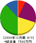小島製畳 貸借対照表 2009年12月期
