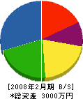 勝加茂工業 貸借対照表 2008年2月期