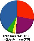 早川塗装 貸借対照表 2011年6月期