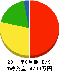 昭和工芸 貸借対照表 2011年6月期