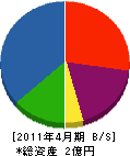 北海道ケミカル 貸借対照表 2011年4月期