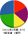 平戸鉄工造船 貸借対照表 2012年3月期