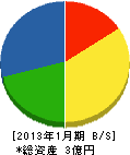 四国竹林塗装工業 貸借対照表 2013年1月期