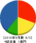 田島金建設 貸借対照表 2010年9月期