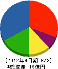 中日本建設 貸借対照表 2012年9月期