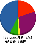 矢野金物 貸借対照表 2012年6月期