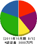 橋川設備 貸借対照表 2011年10月期