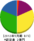 深澤電気 貸借対照表 2012年5月期