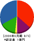 岡島建設 貸借対照表 2008年6月期