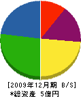 田中家 貸借対照表 2009年12月期