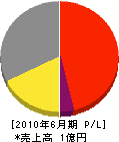 大滝建設 損益計算書 2010年6月期