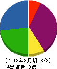 進栄海運建設 貸借対照表 2012年9月期