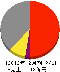 東京コーポレーション 損益計算書 2012年12月期