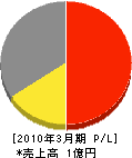 武田組 損益計算書 2010年3月期