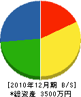 ＊田興行 貸借対照表 2010年12月期