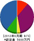 卯田造園 貸借対照表 2012年6月期