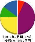 丸九電設 貸借対照表 2012年3月期