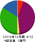 長崎壁装センター 貸借対照表 2010年12月期