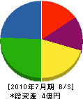 池田亀次郎商店 貸借対照表 2010年7月期