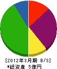 円眞泰東工業 貸借対照表 2012年3月期
