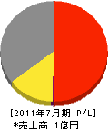 櫻井防災 損益計算書 2011年7月期